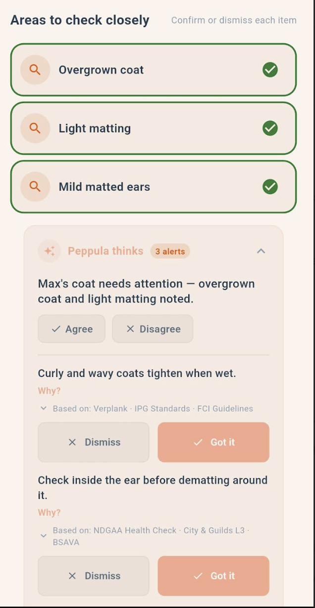 Smart Assessments