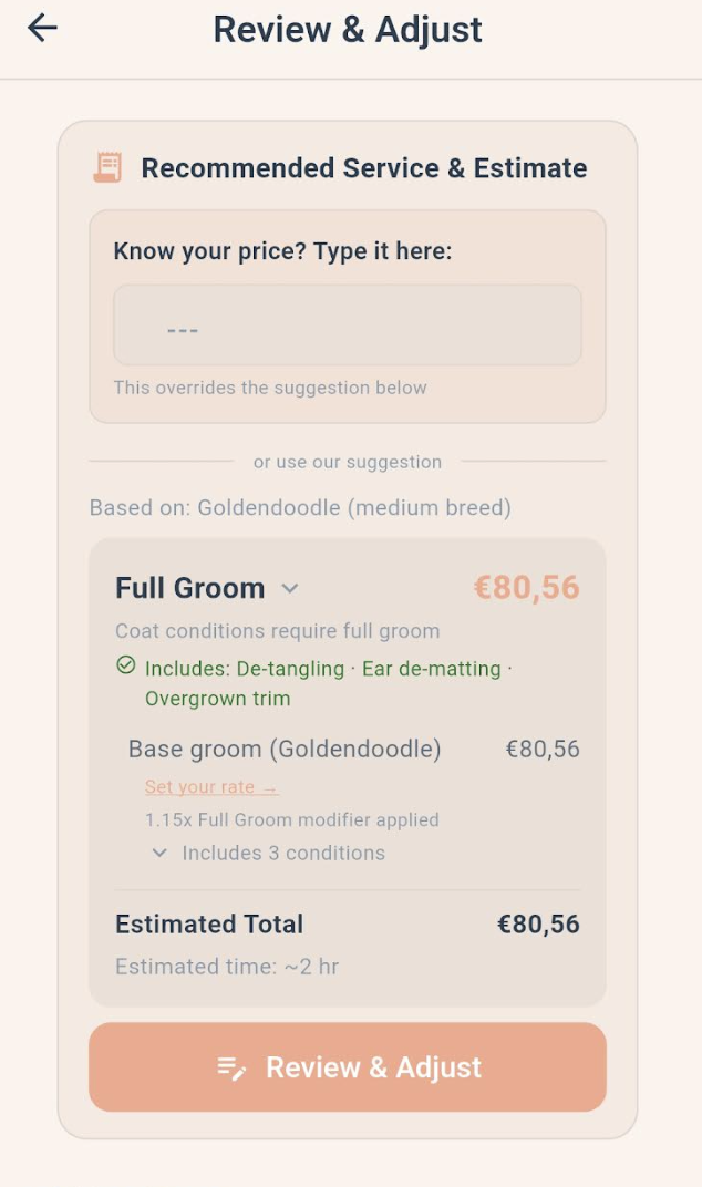 Dynamic Pricing